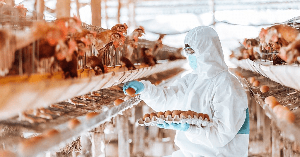 Natural Animal Health and Organic Biosecurity Practices