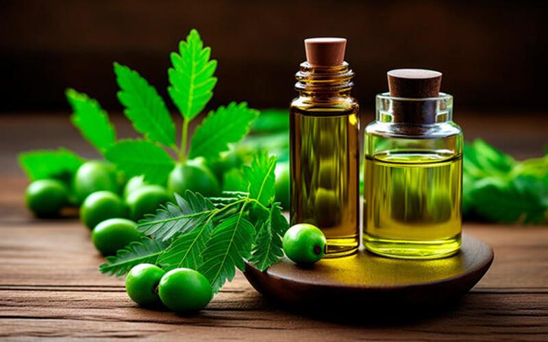 Neem Oil: Natural Pest and Fungal Control