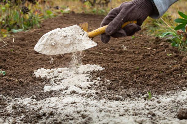 How to Balance Soil pH with Dolomite Lime